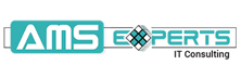 AMS Experts - Top Companies AMS Experts